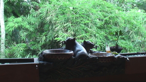 DSC00336.JPG