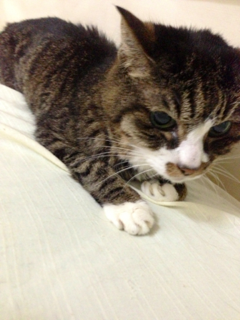 image-20130915231527.png